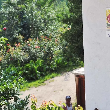 Farm stay Rielingerhof *
